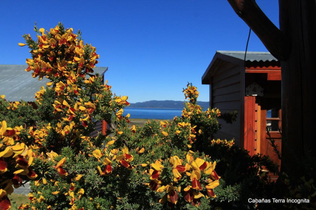 Terra Incognita Villa Ushuaia Dış mekan fotoğraf