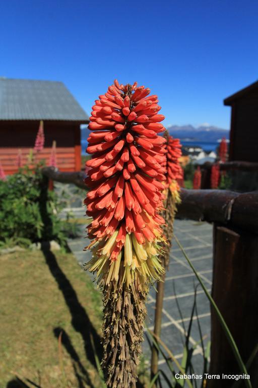 Terra Incognita Villa Ushuaia Dış mekan fotoğraf