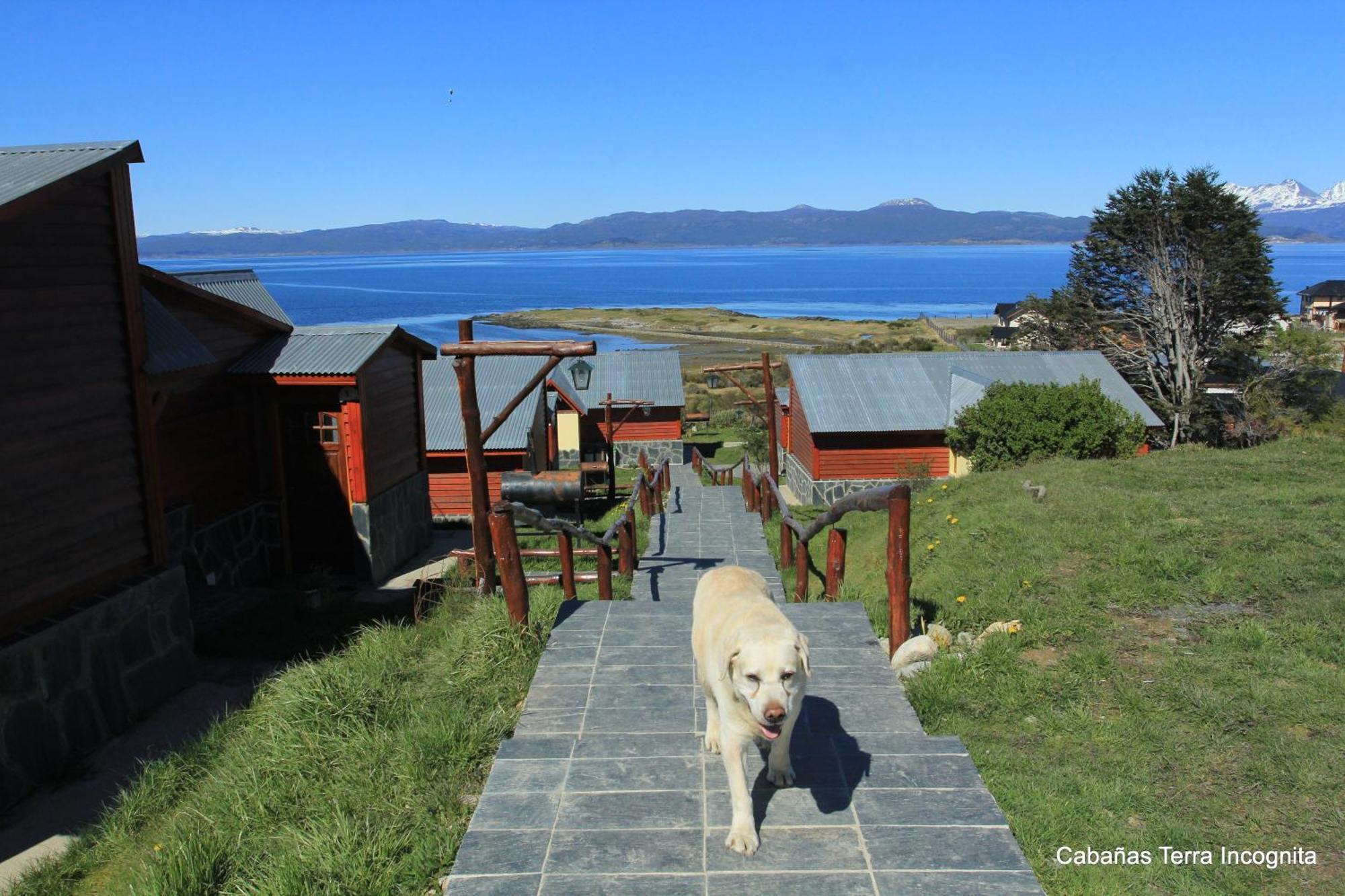 Terra Incognita Villa Ushuaia Oda fotoğraf
