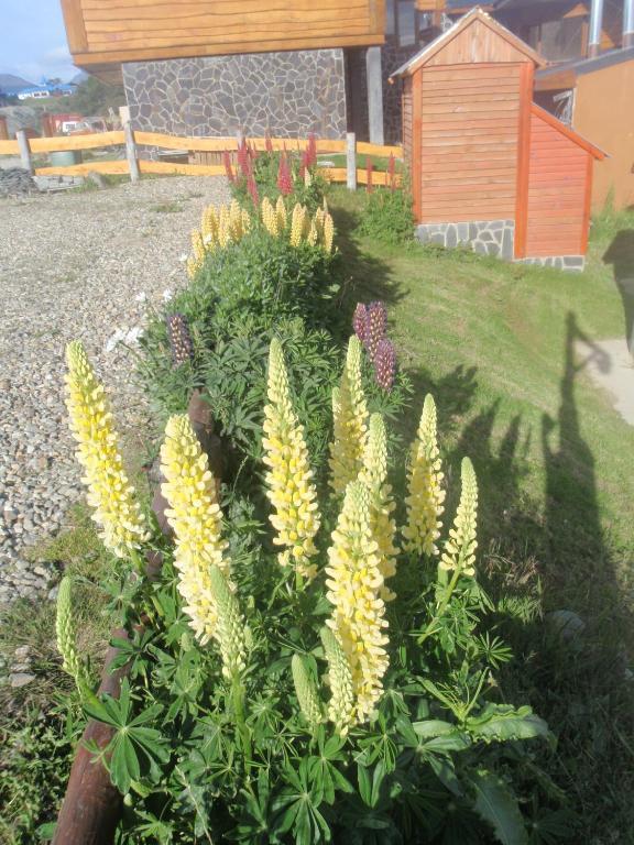 Terra Incognita Villa Ushuaia Oda fotoğraf