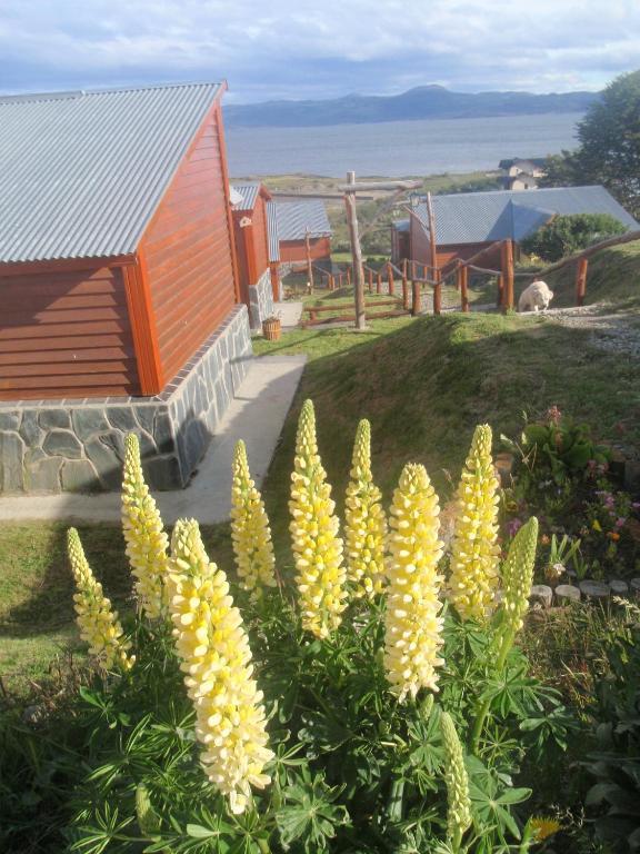 Terra Incognita Villa Ushuaia Oda fotoğraf